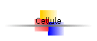 Cellule